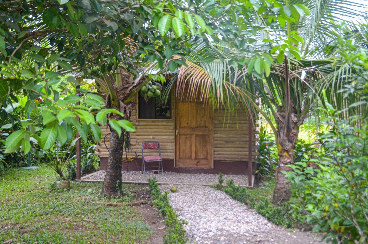 Hospedaje Y Alojamiento Cabanas Don Beto La Palma Dış mekan fotoğraf
