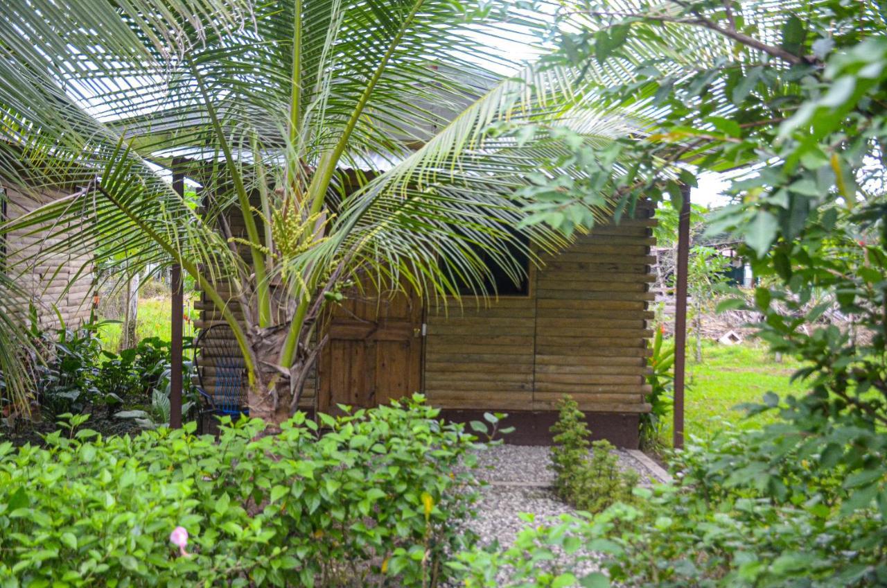 Hospedaje Y Alojamiento Cabanas Don Beto La Palma Dış mekan fotoğraf